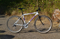 Trek 6000