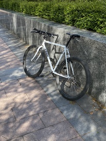 Trek Singletrack 950 photo