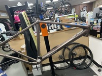 Trek Checkpoint photo
