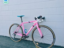 Trek Crockett photo