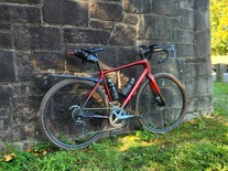 Trek Domane AL 2 gen 4