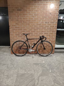 Trek Earl photo