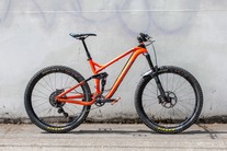 Trek Remedy 9