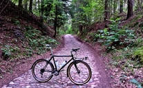 Trek singletrack photo