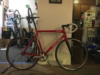 Trek T1