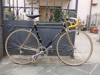 trevisan diamante 24 k costum road bike photo