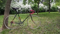 1953 Favorit Road bike