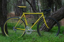 Unknown cheap steel bike photo