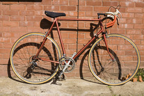 1991 Raleigh Olympian