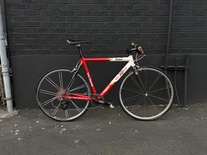 Van Dessel Campitello Rat photo