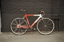 Van Dessel Campitello Rat