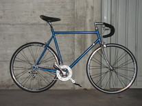 vianelli road bike