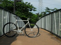 Vicini Pista
