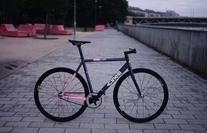 (Vigo)Rosa