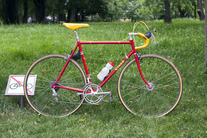 Viner Special Professional Strada RIP photo