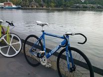 Visp Blue