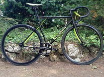 Visp GT Dragon