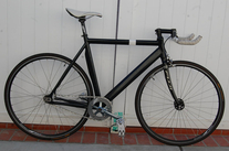 Visp TRX