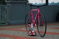 VISP TRX 790 pink photo