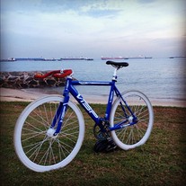 VISP TRX 790 BEACH BLUE photo