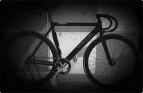 VISP TRX-790 " FACE OFF "