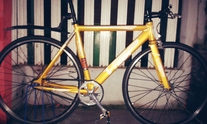 Visp Trx 790 gold Bogor photo