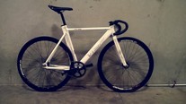 visp trx 999 photo