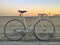 Vivalo NJS