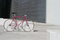 Vivalo NJS photo