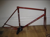 Vivalo NJS 55.5cm Columbus Spirit