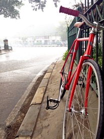 Vivalo Pro Special NJS 54cm Red-Orange photo