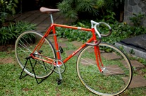 Vivalo Pro Special NJS 54