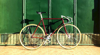 Vivalo Special NJS