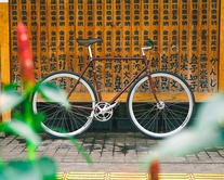 Vivalo Special NJS 'Maroon Flake' photo