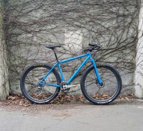 Waltworks 29er
