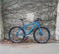 Waltworks 29er photo