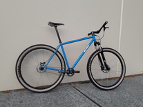 Waltworks SS 29er photo