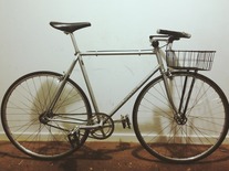 Whitehorn "Malvern Star"