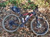 Wilier 101x