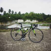 Wilier GTR photo