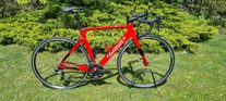 Wilier carbonara