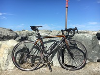 Wilier Le Roi 2006