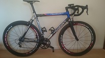 Wilier Le Roi,Carbon