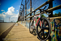 Wilier Velodromo 2011 photo