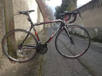 Willier Triestina Imperiale Deluxe