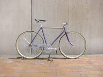 1978 Windsor Pro Fixed Gear/Singlespeed