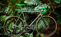 Wittson Custom Road Disc 246 photo