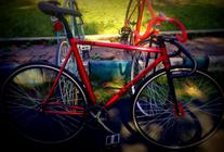 Wols Pursuit Bike Custom photo