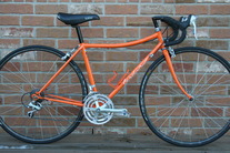 XSmall Gardin Fast Orange! photo