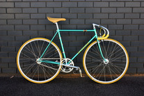 YANAGISAWA NJS